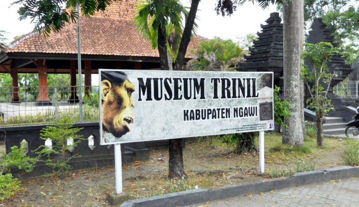 Museum Trinil Ngawi Wisata Edukasi Yang Cocok Dikunjungi Bersama Keluarga