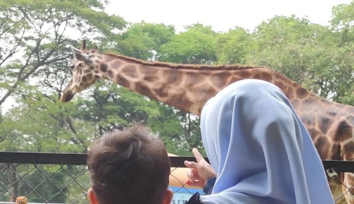 Rekomendasi Kebun Binatang di Jawa Timur, Bersenang-senang Sekaligus Tambah Wawasan