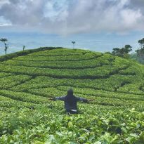 Temukan Keindahan Kebun Teh Jamus Ngawi Dan Nikmati Fasilitasnya