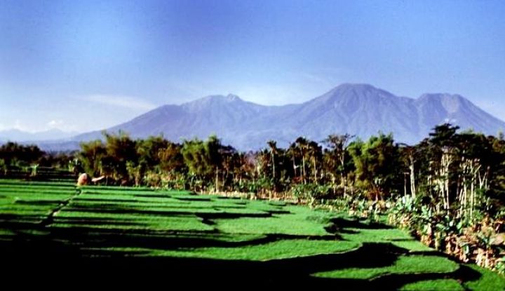 Wisata Gunung Butak Dengan Pemandangan Sabana Daya Tarik Lokasi Dan