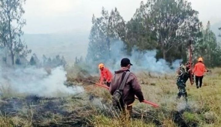 Gunung Penanggungan Mojokerto Kebakaran, Pemadaman Lewat 3 Jalur Ini