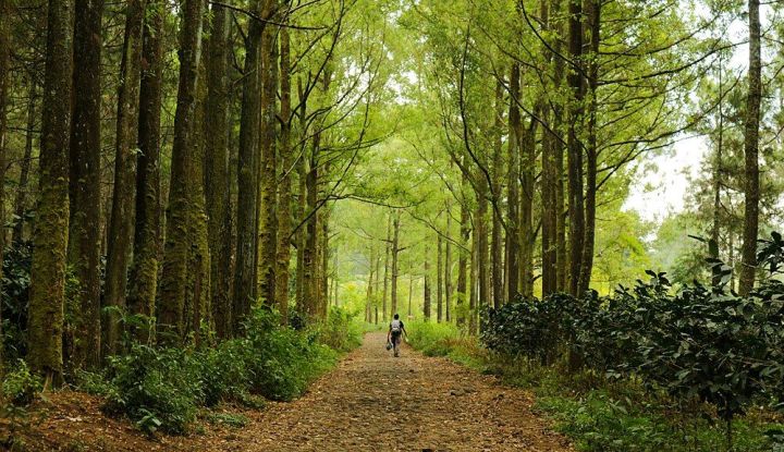 Wisata di Jawa Timur Jadi Favorit Para Pelancong Nusantara